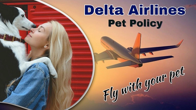 Delta Airlines Pet Policy