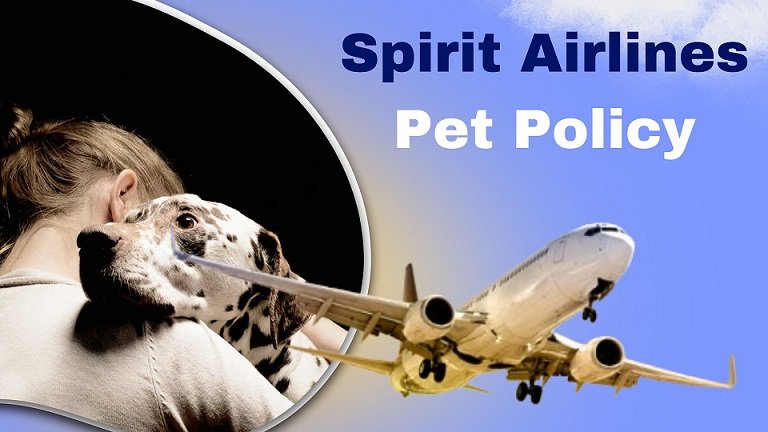 Spirit Airlines Pet Policy