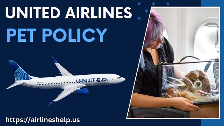 united airlines pet policy